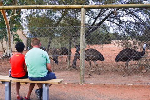 Erldunda Desert Oaks Resort - Accommodation Cooktown 21