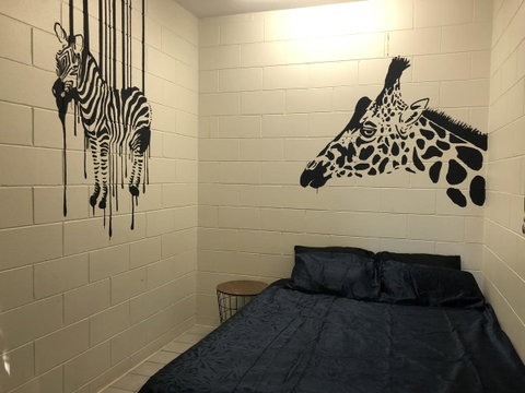 Frogs-Hollow Backpackers - Accommodation Cooktown 44