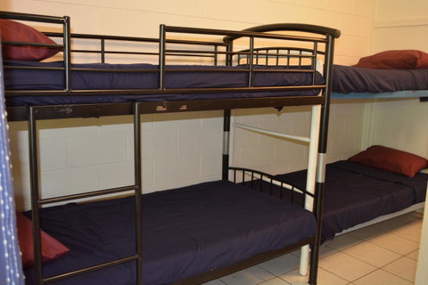 Frogs-Hollow Backpackers - Accommodation Cooktown 7