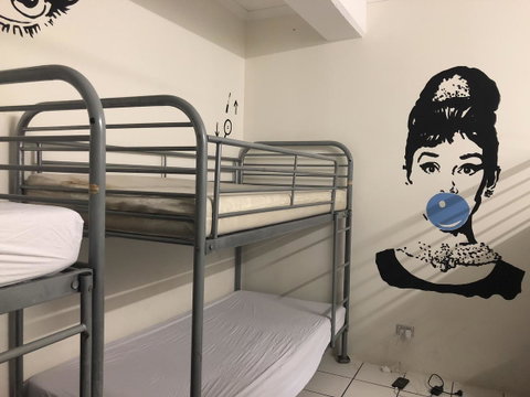Frogs-Hollow Backpackers - Accommodation Cooktown 33