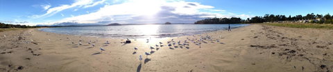 Corrigans Cove - Accommodation Cooktown 2