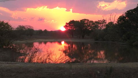 Mount Bundy Station - Accommodation Cooktown 20