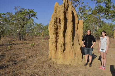Mount Bundy Station - Accommodation Cooktown 44