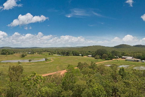 Mount Bundy Station - Accommodation Cooktown 2