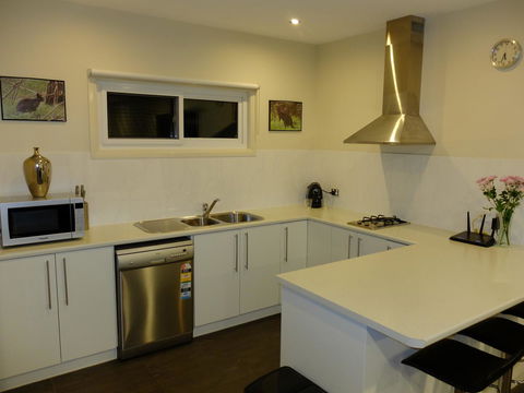 Rock Wallaby - Accommodation Cooktown 12