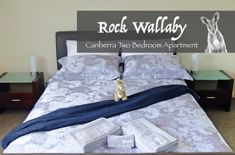 Rock Wallaby - Accommodation Cooktown 4