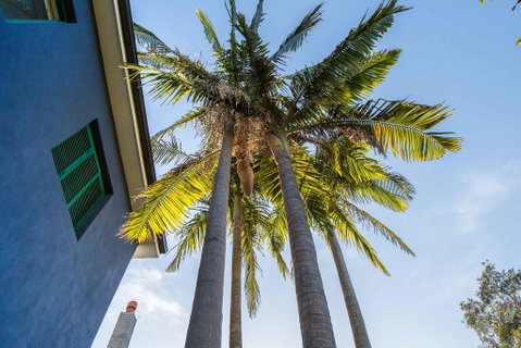 Bondi Beach House - Accommodation Cooktown 1