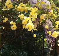 Bowral Road Bed and Breakfast - Accommodation Cooktown