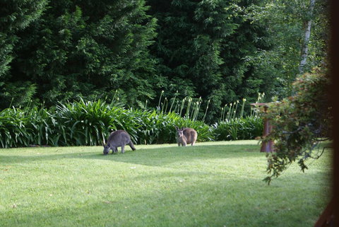 Bundanoon @2578 - Accommodation Cooktown 0