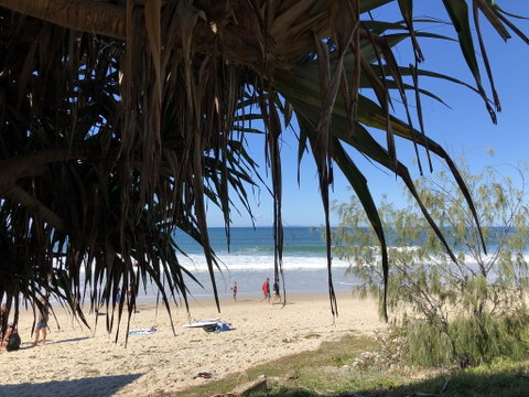 CALOUNDRA Stay - Accommodation Cooktown 3
