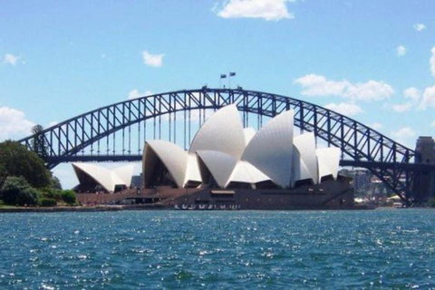 Carramar Studio KingBed PrivateRm 1 Min To Station - STUDIO - Accommodation Cooktown 2