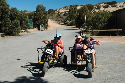 Ceduna Shelly Beach Caravan Park - Accommodation Cooktown 1
