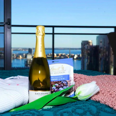 CENTRAL CBD EXEC STUNNING VIEW WIFI NETFLIX WINE - Accommodation Cooktown 3
