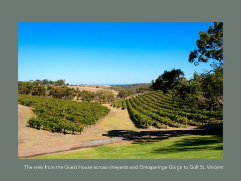 Chapel Hill Winery Guest House - Accommodation Cooktown 1