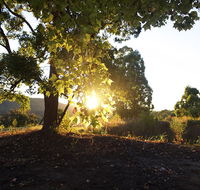 Clarendon Forest Retreat - Accommodation Cooktown