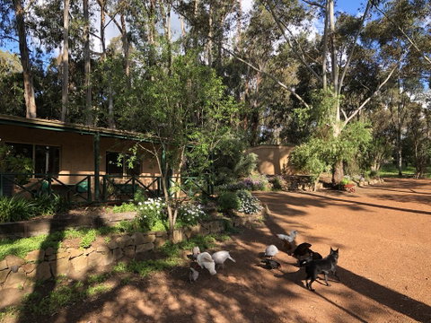 Country Cottages Of Bridgetown - Accommodation Cooktown 1