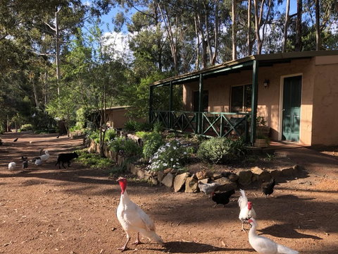 Country Cottages Of Bridgetown - Accommodation Cooktown 0