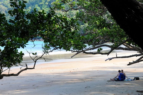 Cow Bay Homestay B&B - Accommodation Cooktown 1