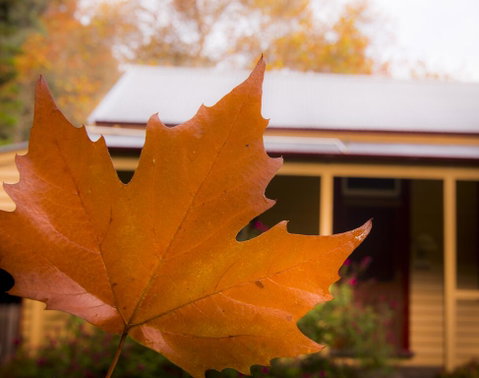 Creek Cottage - Accommodation Cooktown 3
