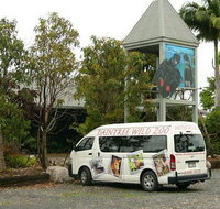 Daintree Wild Bed  Breakfast - Accommodation Cooktown