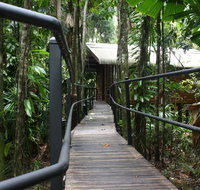 Daintree Wilderness Lodge - Accommodation Cooktown