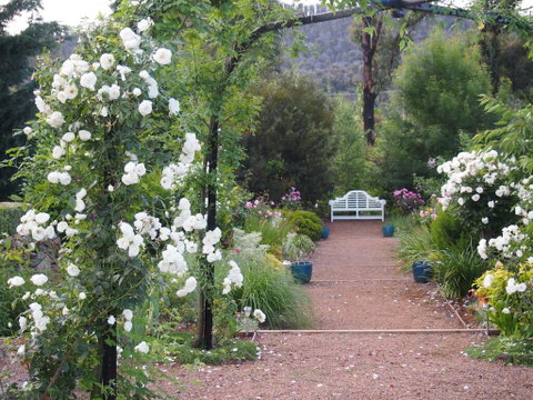 Delderfield Cottages - Accommodation Cooktown 0