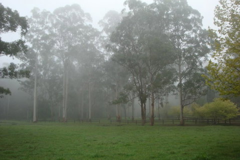 Dingley Dell - Accommodation Cooktown 2