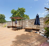 Dingo at White Gum Lodge - Accommodation Cooktown