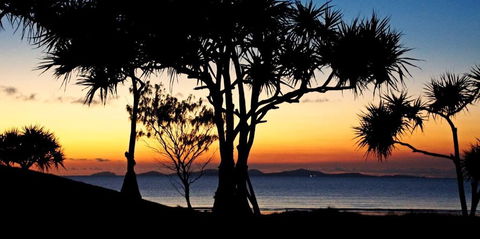 Driftwood Motel And Holiday Units - Accommodation Cooktown 2