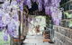Ellerslie Cottage - thumb 0