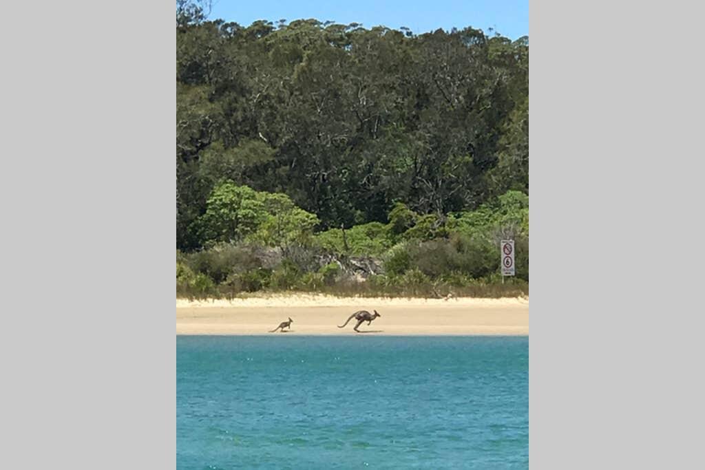 Beecroft Peninsula NSW Accommodation Cooktown