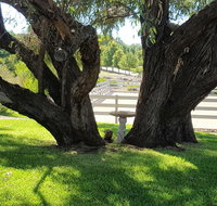 Farm Stay Studio - Accommodation Cooktown