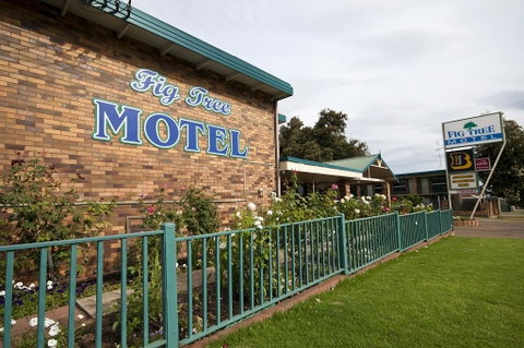 Fig Tree Motel - Accommodation Cooktown 2