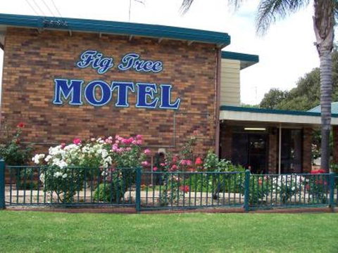 Fig Tree Motel - Accommodation Cooktown 1