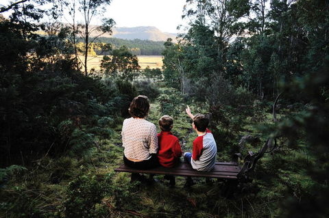 Forest Walks Lodge - Accommodation Cooktown 3