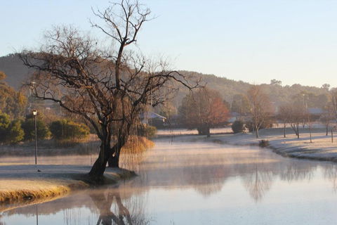 FROGGIES HOLIDAY HOUSE - Accommodation Cooktown 1