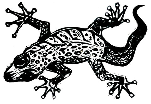 Gecko Guest House - Accommodation Cooktown 3