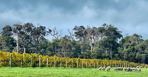 Harmony Forest Cottages & Lake Side Lodge - Accommodation Cooktown 1