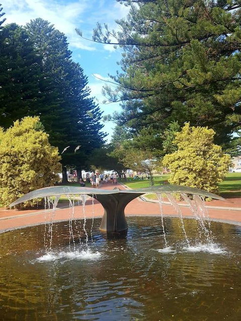 Hi 5 Luxury Holiday Apartments - Accommodation Cooktown 3