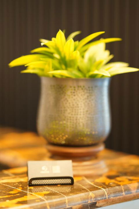 Jephson Hotel & Apartments - Accommodation Cooktown 3