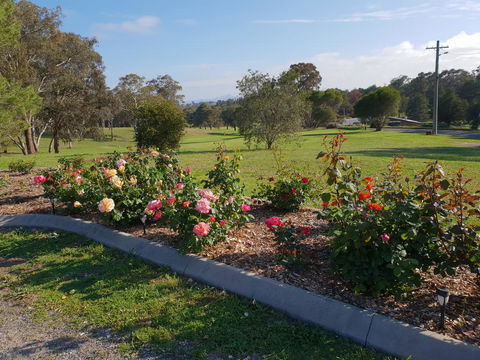 Kandos Fairways Motel - Accommodation Cooktown 2