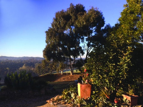 Kangaroo Hill Studio - Accommodation Cooktown 2