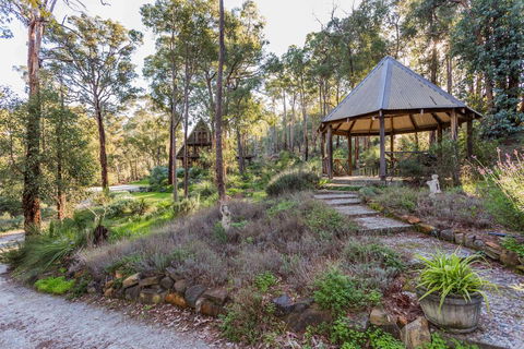 Lavenderpatch - Accommodation Cooktown 3