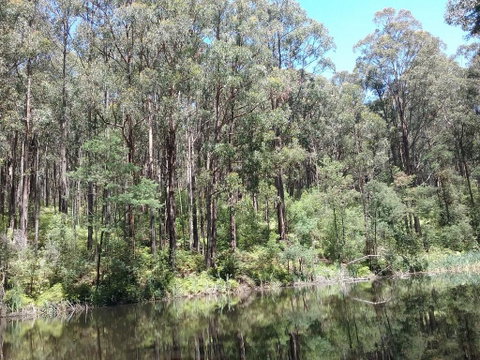 Lyrebird Gully Retreat - Accommodation Cooktown 2