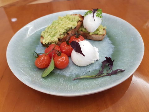 Majestic Roof Garden Hotel - Accommodation Cooktown 1