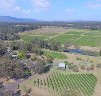 McCaffrey's Estate - Accommodation Cooktown