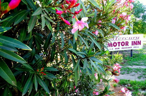 Mercury Motor Inn - Accommodation Cooktown 0
