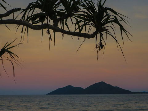 Mission Beach Hideaway Holiday Village - Accommodation Cooktown 1