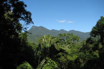 Mossman Gorge Bed And Breakfast with Accommodation Cooktown