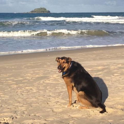 Mudjimba Esplanade Villa - Accommodation Cooktown 3
